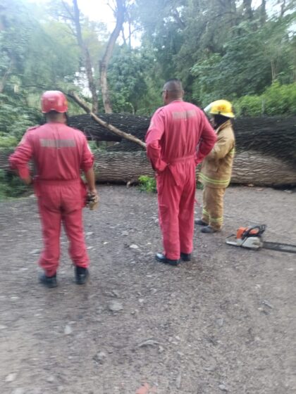 Suspensión temporal de actividades en Parque Lineal del Río Mixteco
