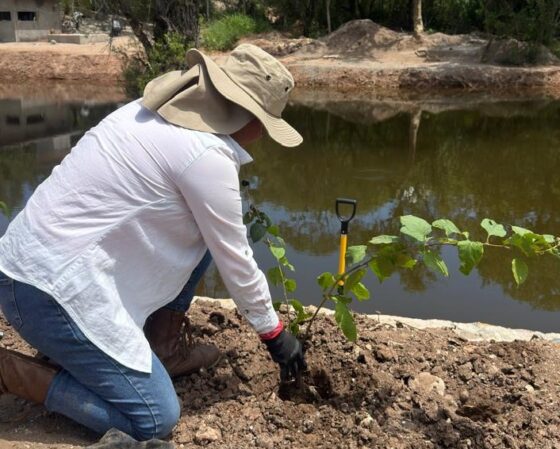 Continúa el Gobierno de Huajuapan fortaleciendo el Andador Turístico Las Campanas